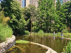 -成都市活水公园