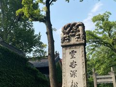 -灵谷景区