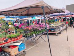 -中环花鸟鱼虫市场