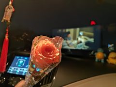 -枫花园汽车电影院(朝阳公园店)