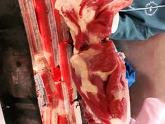 -关二碳烤羊腿(龙翔路店)