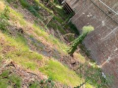 -万源龙顺度假庄园生态观光园