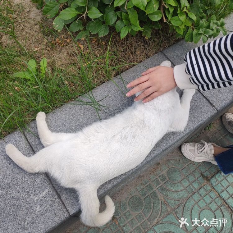 你见过彩虹宿舍楼吗??