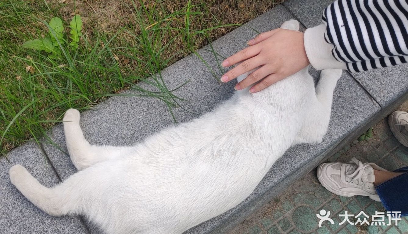 你见过彩虹宿舍楼吗？？