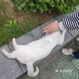 你见过彩虹宿舍楼吗？？