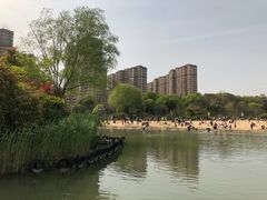 -青枫公园
