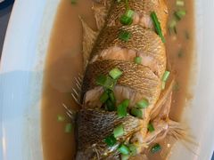 大黄鱼-闽海肴(北辰荟店)