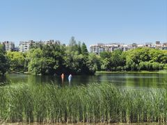 -新江湾城公园