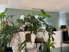 -一尺花园(安和花园店)