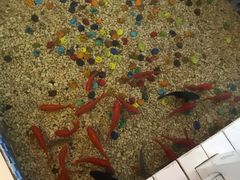 -雅逸居海鲜小厨