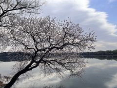 -颐和园