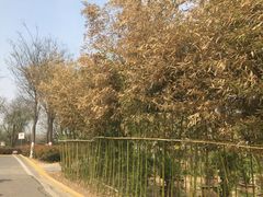 -西安汉城湖景区