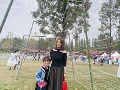 -黄海国家森林公园