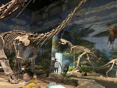 -自贡恐龙博物馆