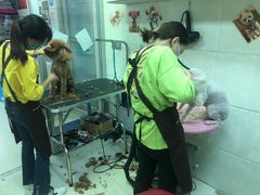 美容-波波宠物用品美容店(邻水店)
