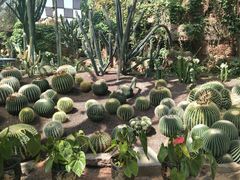 -亿利库布其七星湖沙漠生态旅游区