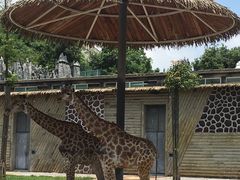 -贵州森林野生动物园