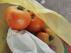 -马陆小张葡萄园农家乐