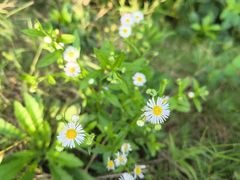 -南京金牛湖风景区