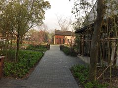 田园东方-田园东方蜜桃村的田野营地