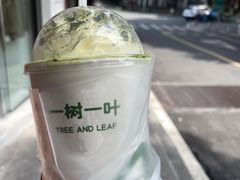 -一树一叶·福建茶档(石鼓路店)
