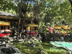 -白家大院·王府宫廷菜(苏州街店)