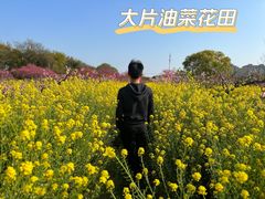 -南汇桃花村