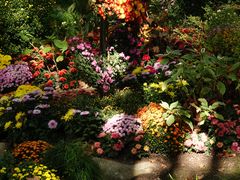 -上海共青森林公园