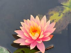 -厦门园林博览苑