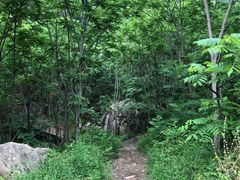 -云岫谷自然风景区