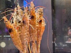 -东海怡品海鲜豆捞(舟宿夜江店)