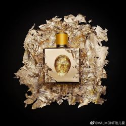 -安吉拉青春化管理中心