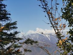 -青城山