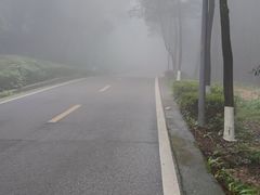 -铁山坪森林公园