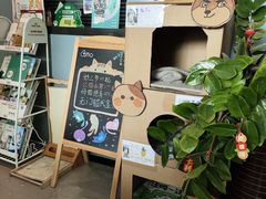 -御宝贝·A梦猫科宠物医院(国际猫友好医院)