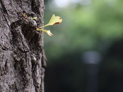 -苏州河梦清园环保主题公园