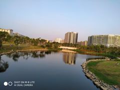 -宝安西湾红树林湿地公园