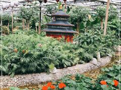 -南宫五洲植物乐园
