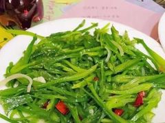 -泸沽肴(泸沽湖大洛水村农村信用社旁店)