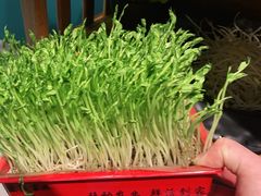 -五星桥原切肥牛火锅·30年专注好牛肉(湖塘店)