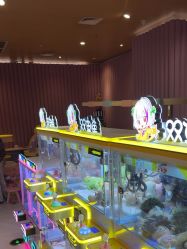 -meland club亲子乐园(石家庄万象城店)