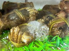 -蟹榭·本帮江浙菜·蟹宴(五角场合生汇商场店)