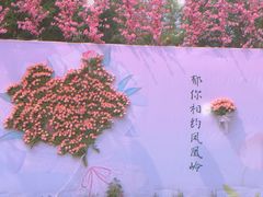 -北京凤凰岭