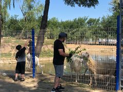 -东郊湿地公园