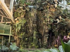 -正佳雨林生态植物园
