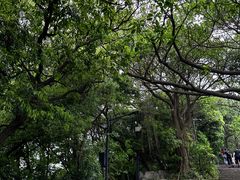 -广州市白云山风景名胜区