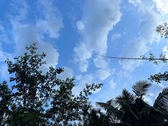 -呀诺达热带雨林