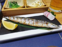 盐烤秋刀鱼-浦·传统日式料理(3 5 1 1 店)