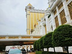 -澳门威尼斯人综合度假区