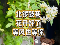 -小时光咖啡馆(北锣鼓巷店)